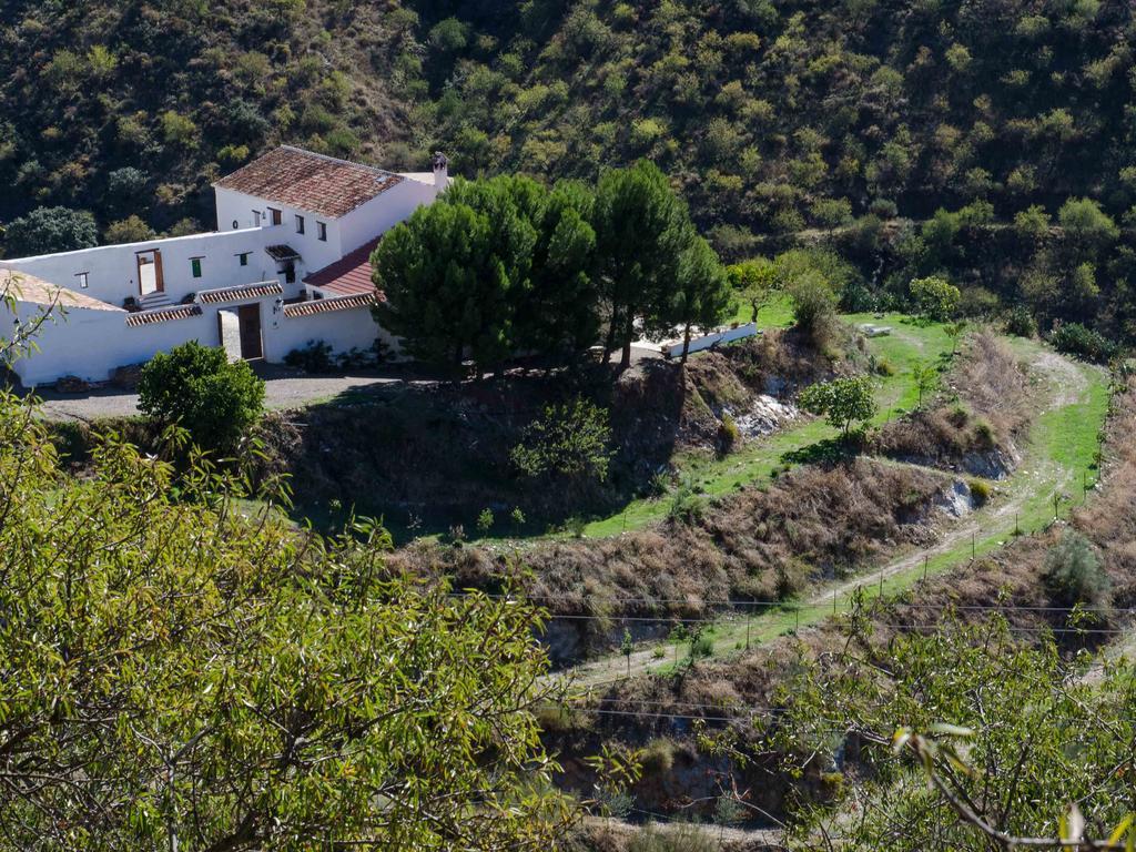 Cortijo Juan Salvador Pensionat Olías Exteriör bild