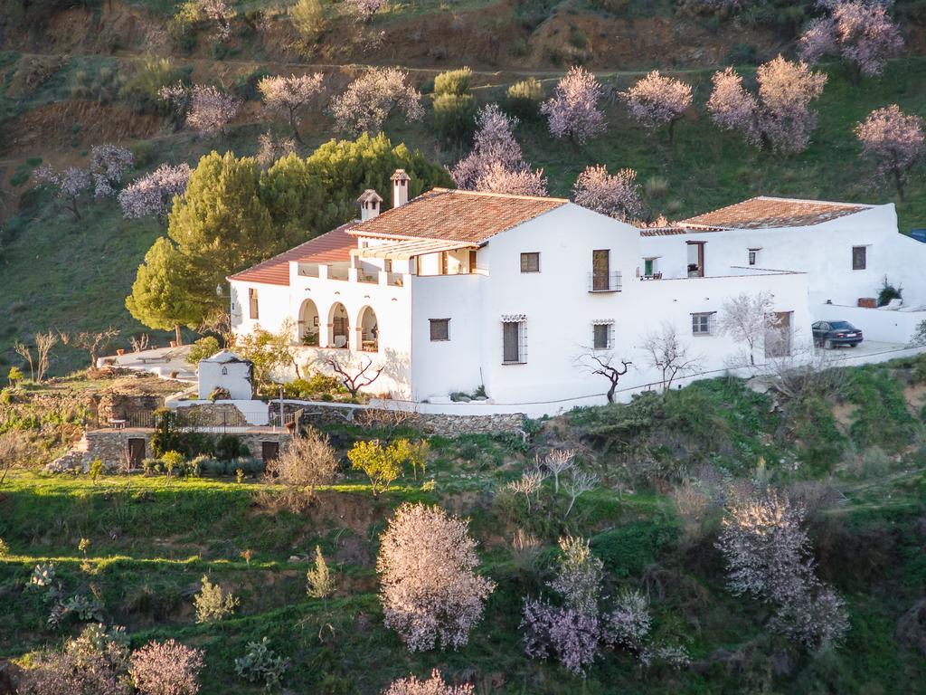 Cortijo Juan Salvador Pensionat Olías Exteriör bild