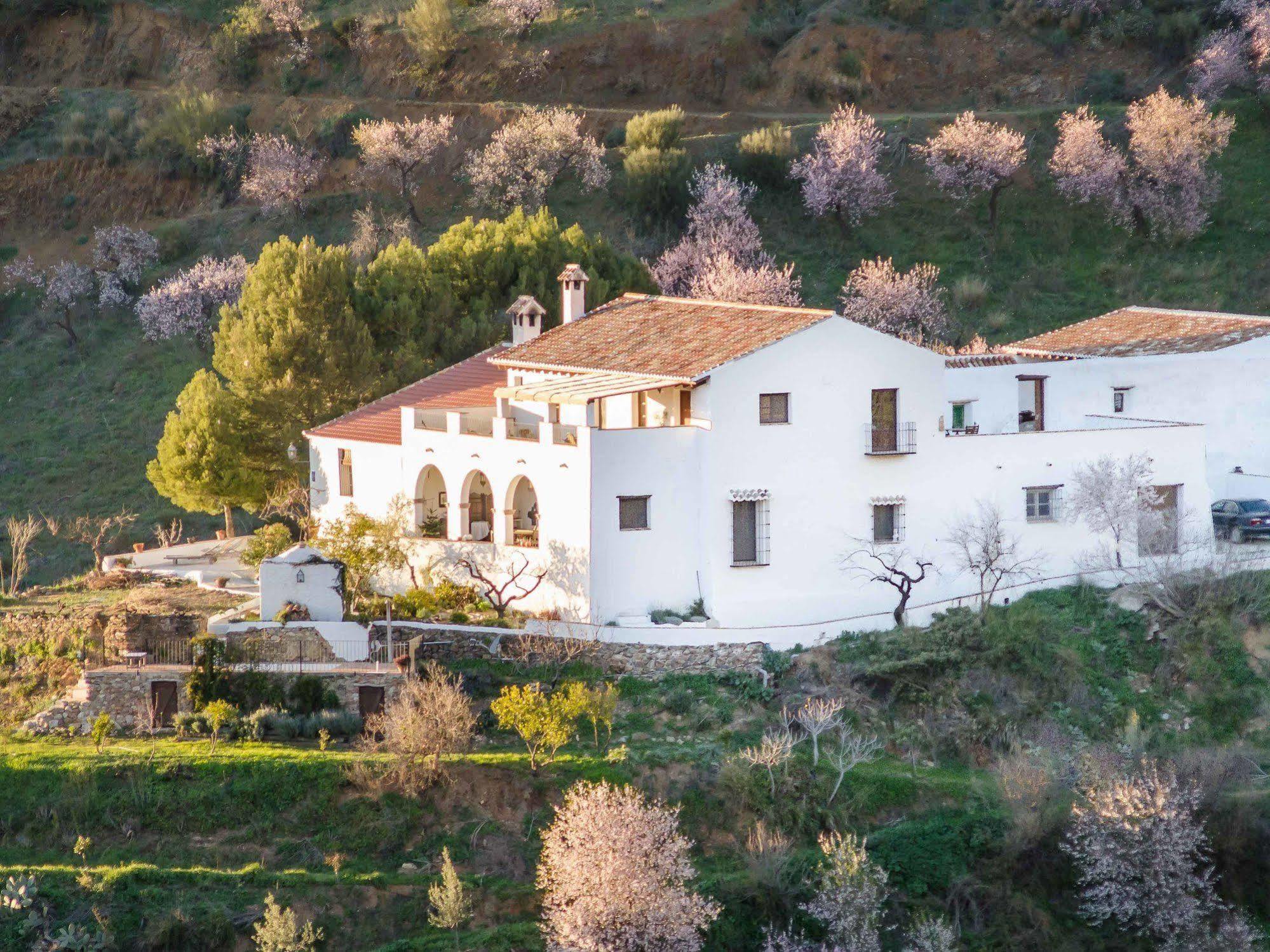 Cortijo Juan Salvador Pensionat Olías Exteriör bild