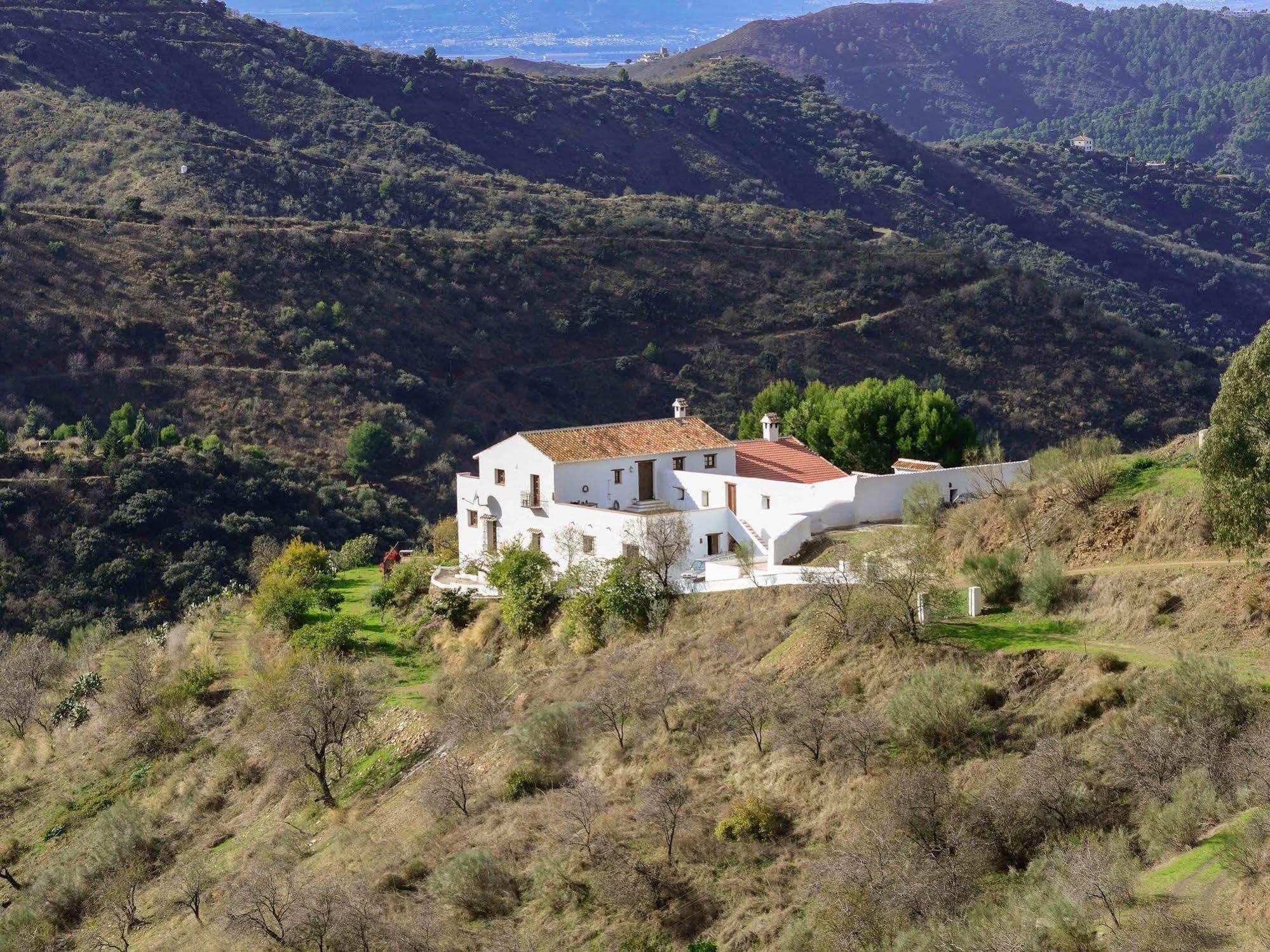 Cortijo Juan Salvador Pensionat Olías Exteriör bild