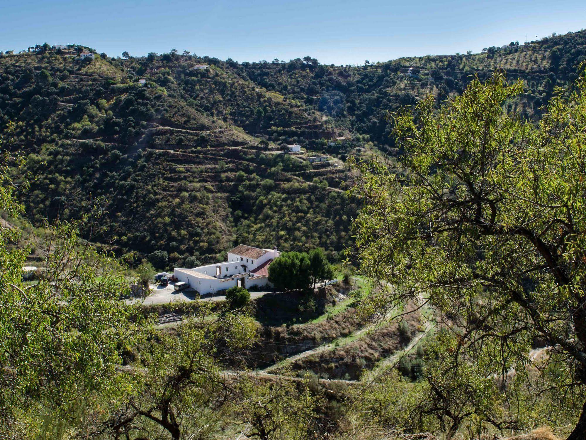 Cortijo Juan Salvador Pensionat Olías Exteriör bild